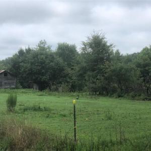 Photo #3 of 257 Willowlake, Greensboro, NC 22.0 acres