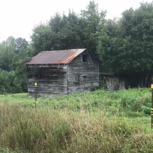 Photo #4 of 257 Willowlake, Greensboro, NC 22.0 acres
