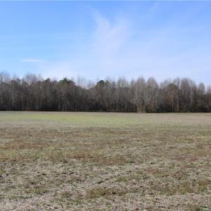Photo #2 of 959 Scott, Kenly, NC 35.0 acres