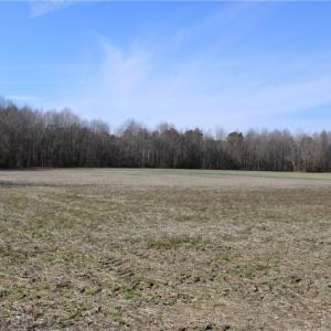 Photo #1 of 959 Scott, Kenly, NC 35.0 acres