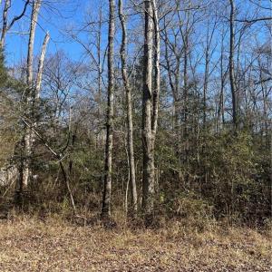 Photo #2 of Playground, Salisbury, NC 0.5 acres