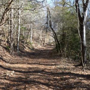 Photo #2 of NC Highway 89, Danbury, NC 160.0 acres