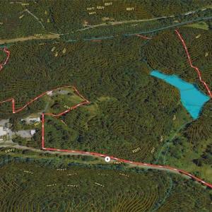 Photo #46 of NC Highway 89, Danbury, NC 160.0 acres
