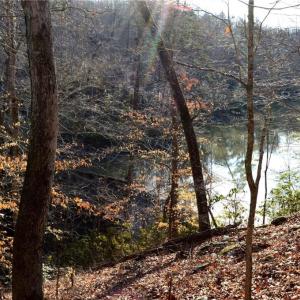 Photo #13 of NC Highway 89, Danbury, NC 160.0 acres