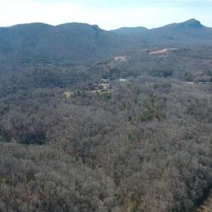 Photo #43 of NC Highway 89, Danbury, NC 160.0 acres