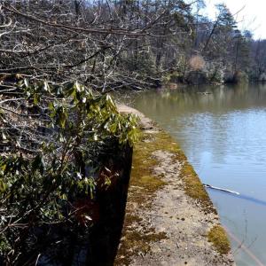 Photo #16 of NC Highway 89, Danbury, NC 160.0 acres