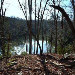Photo #12 of NC Highway 89, Danbury, NC 160.0 acres