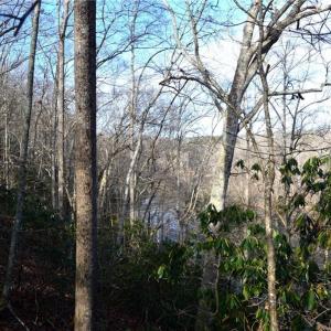 Photo #26 of NC Highway 89, Danbury, NC 160.0 acres