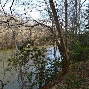 Photo #22 of NC Highway 89, Danbury, NC 160.0 acres