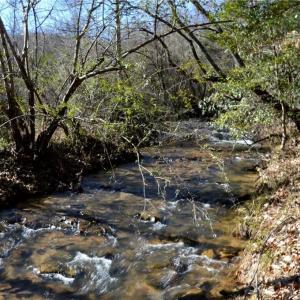 Photo #3 of NC Highway 89, Danbury, NC 160.0 acres