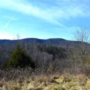 Photo #36 of NC Highway 89, Danbury, NC 160.0 acres