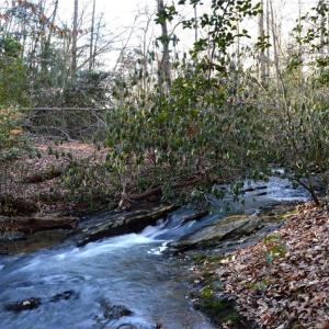Photo #1 of NC Highway 89, Danbury, NC 160.0 acres