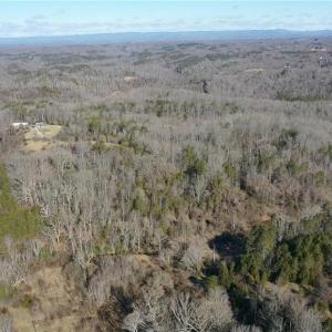 Photo #38 of NC Highway 89, Danbury, NC 160.0 acres