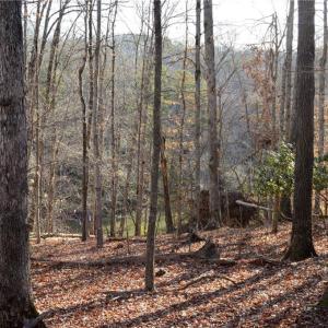 Photo #10 of NC Highway 89, Danbury, NC 160.0 acres