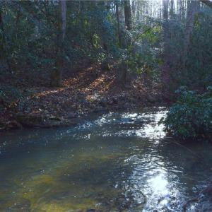 Photo #14 of NC Highway 89, Danbury, NC 160.0 acres