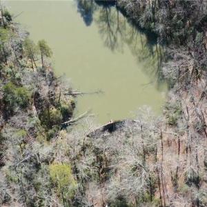 Photo #41 of NC Highway 89, Danbury, NC 160.0 acres