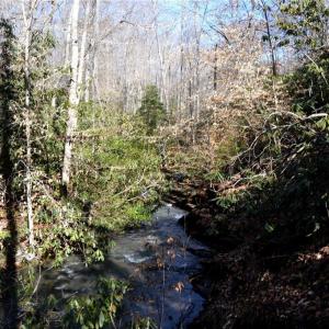 Photo #18 of NC Highway 89, Danbury, NC 160.0 acres
