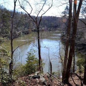Photo #15 of NC Highway 89, Danbury, NC 160.0 acres