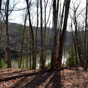 Photo #11 of NC Highway 89, Danbury, NC 160.0 acres