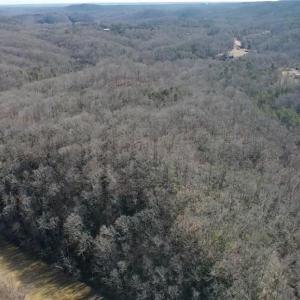 Photo #40 of NC Highway 89, Danbury, NC 160.0 acres