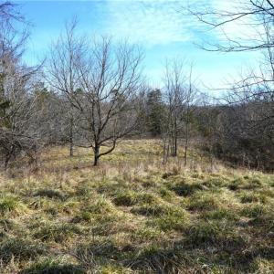 Photo #35 of NC Highway 89, Danbury, NC 160.0 acres
