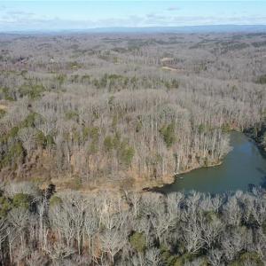 Photo #39 of NC Highway 89, Danbury, NC 160.0 acres