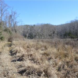 Photo #4 of NC Highway 89, Danbury, NC 160.0 acres