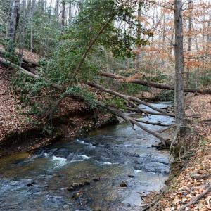 Photo #21 of NC Highway 89, Danbury, NC 160.0 acres