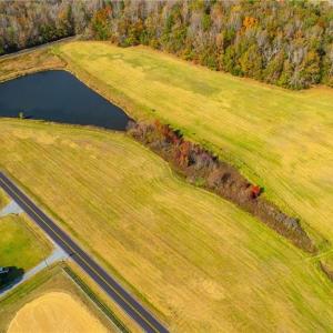 Photo #2 of 6605 Phillippi, Liberty, NC 10.1 acres