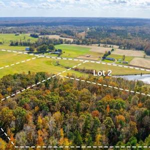 Photo #3 of 6605 Phillippi, Liberty, NC 10.1 acres