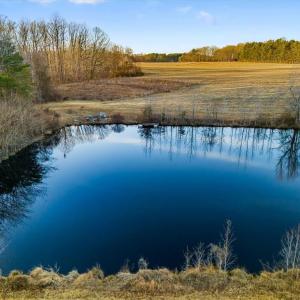 Photo #2 of Old Satterfield, Milton, NC 57.0 acres