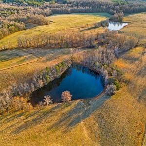 Photo #13 of Old Satterfield, Milton, NC 57.0 acres