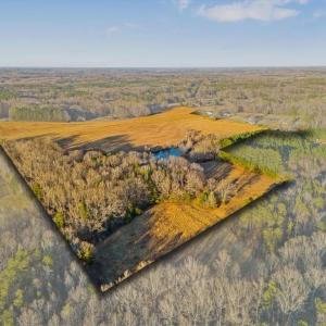 Photo #24 of Old Satterfield, Milton, NC 57.0 acres