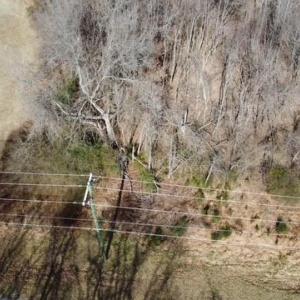 Photo #1 of 00 Lot 1 Cypress, Reidsville, NC 1.6 acres