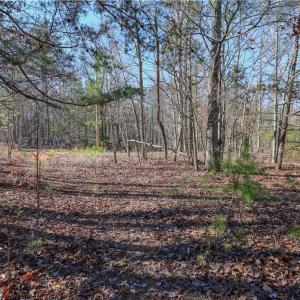 Photo #6 of 6355 Scott McDowell, Asheboro, NC 10.1 acres