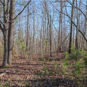 Photo #7 of 6355 Scott McDowell, Asheboro, NC 10.1 acres
