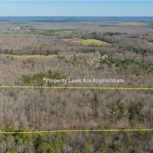 Photo #1 of 6355 Scott McDowell, Asheboro, NC 10.1 acres