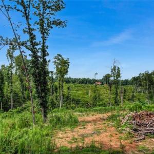 Photo #3 of Roberson, Reidsville, NC 6.0 acres