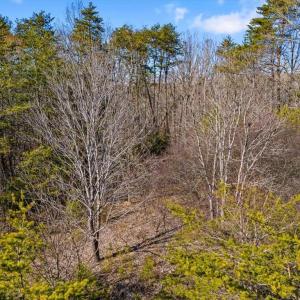 Photo #12 of 7350 Hidden View, Oak Ridge, NC 6.8 acres