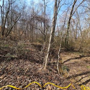 Photo #6 of 2440 Meadowpark, Winston-Salem, NC 1.6 acres