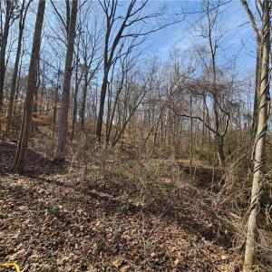 Photo #7 of 2440 Meadowpark, Winston-Salem, NC 1.6 acres