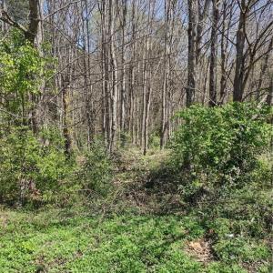Photo #1 of 5550 Brookfield Ridge, Winston-Salem, NC 0.5 acres