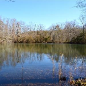 Photo #27 of Hanging Rock Park, Danbury, NC 232.0 acres