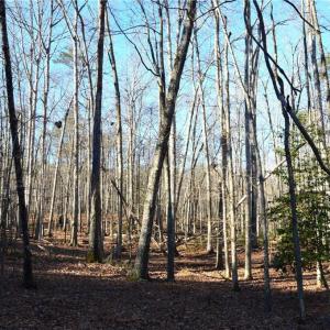 Photo #6 of Hanging Rock Park, Danbury, NC 232.0 acres