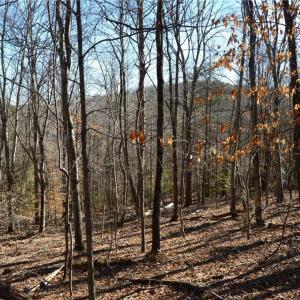 Photo #13 of Hanging Rock Park, Danbury, NC 232.0 acres