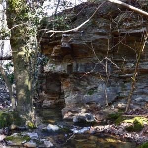 Photo #16 of Hanging Rock Park, Danbury, NC 232.0 acres