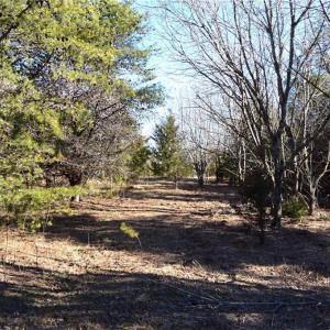 Photo #12 of Hanging Rock Park, Danbury, NC 232.0 acres