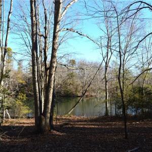 Photo #7 of Hanging Rock Park, Danbury, NC 232.0 acres