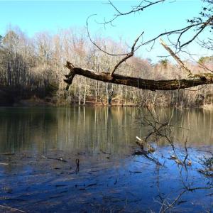 Photo #3 of Hanging Rock Park, Danbury, NC 232.0 acres