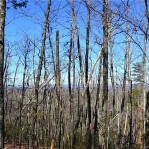 Photo #32 of Hanging Rock Park, Danbury, NC 232.0 acres